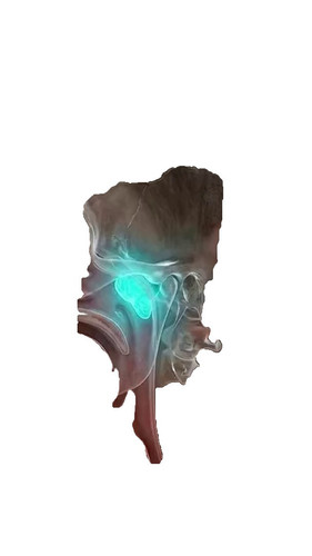 r.jpg