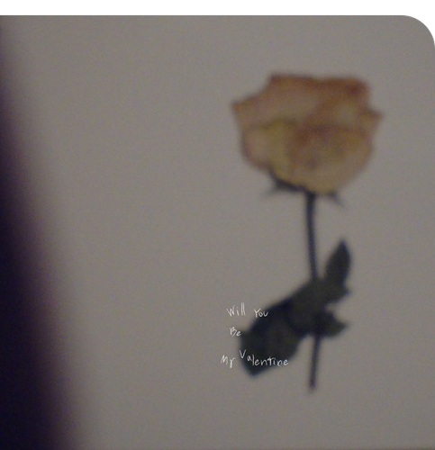 05a886edb025.png