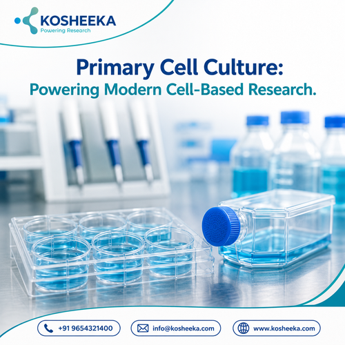 Primary Cell Culture Powering Modern Cell Based Research.png