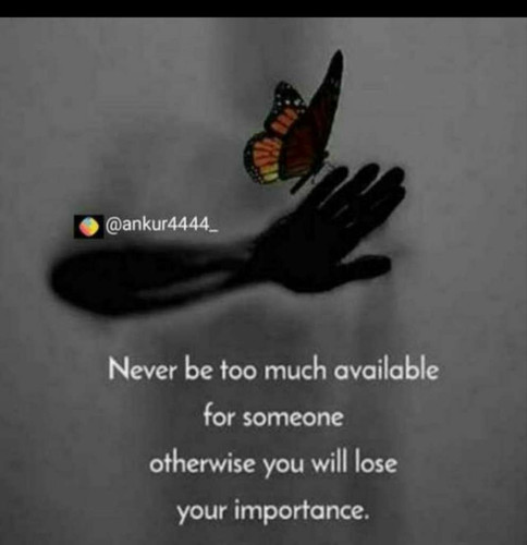 0e89c6be763c.jpg