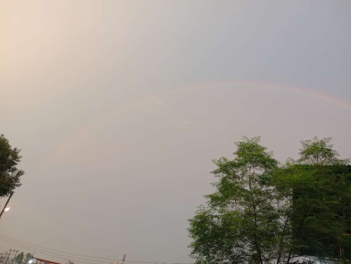 cf63e551c557.jpg