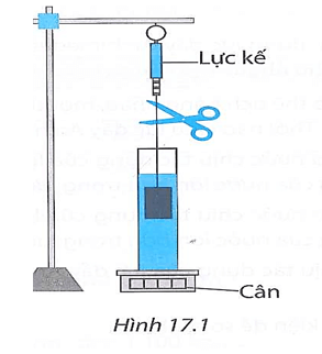 bai 17 9 trang 50 sbt khtn 8.png