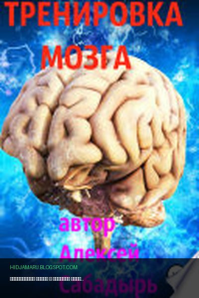 Обложка книги «Тренировка мозга» - Алексей Сабадырь