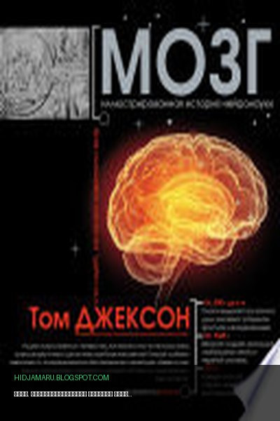 Обложка книги «Мозг. Иллюстрированная история нейронауки» - Том Джексон