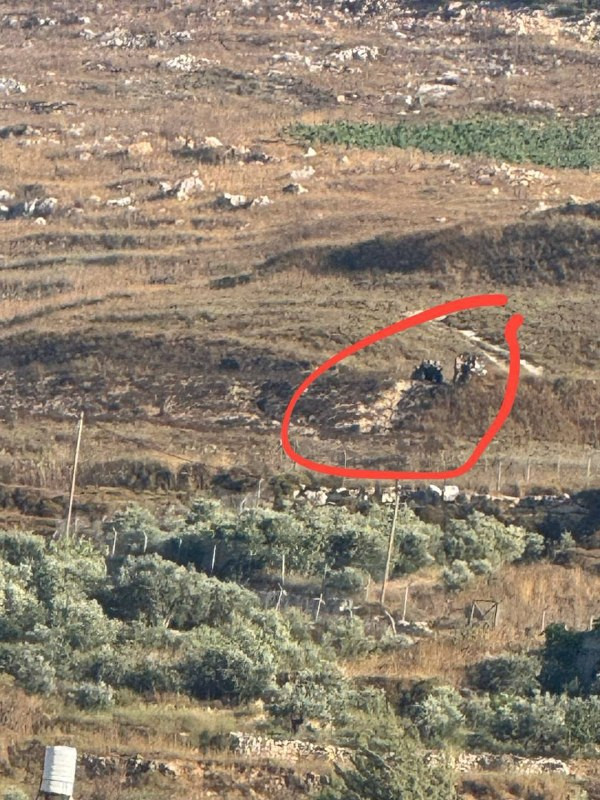 صورة الخبر