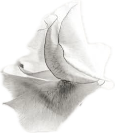 %E4%B8%BB%E9%A2%98%20(7).png