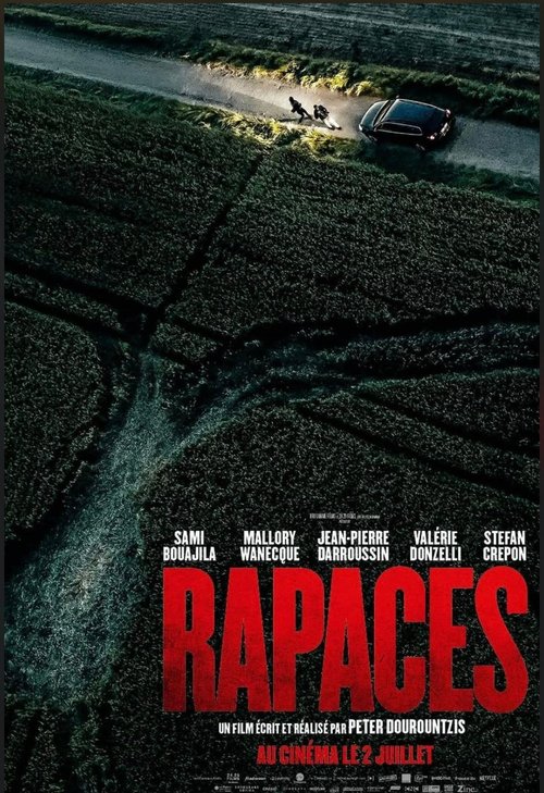Sępy / Vultures / Rapaces (2025) MULTi.1080p.HMAX.WEB-DL.x264-KiT / Lektor PL i Napisy PL