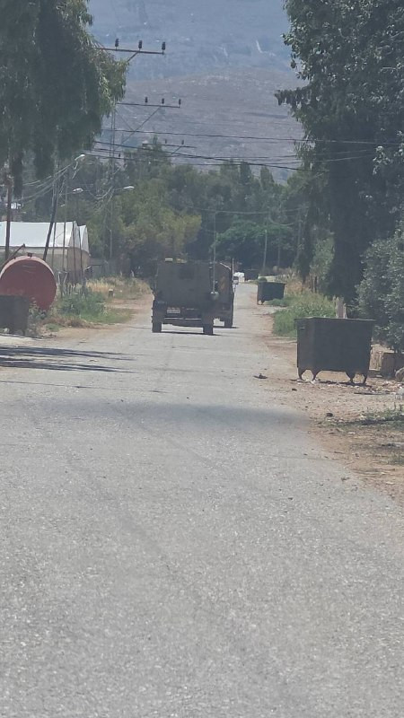 صورة الخبر