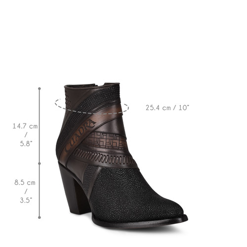 3F86MA mantarraya negra botin iso.jpg