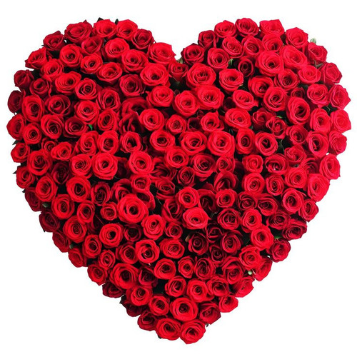 🌹❤️ Romantic Red Rose Heart Shaped Gift ❤️🌹 The perfect symbol of love and passion! Express your fee