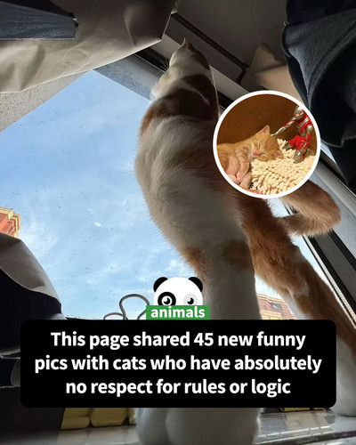 Community share 7.jpg