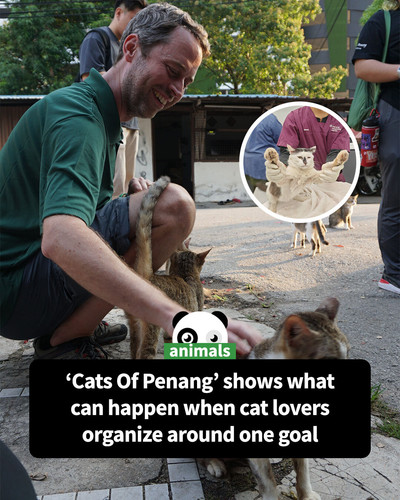 Community share 6.jpg