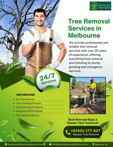 Tree Removal Services Melbourne | Safe, Professional & Affordable.jpg