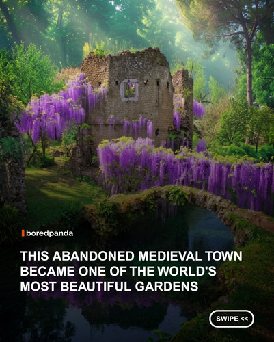 swipe to read.jpg
