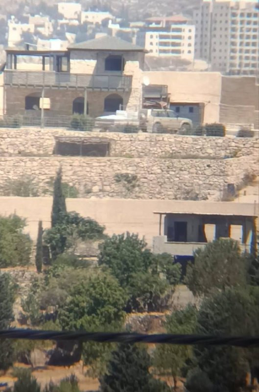 صورة الخبر
