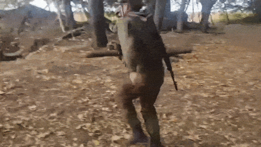 https://iili.io/CYHOdnj.gif
