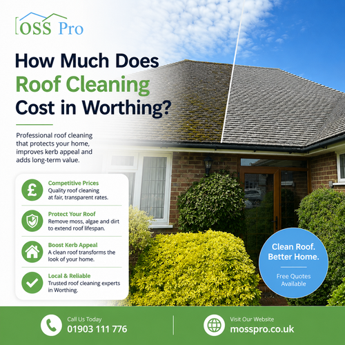 How Much Does Roof Cleaning Cost in Worthing.png