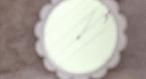 ezgif.com resize (50).gif