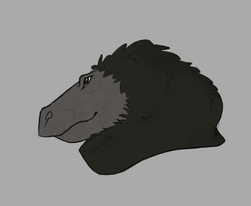 IMG 1200.png