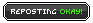 IMG 6977.png