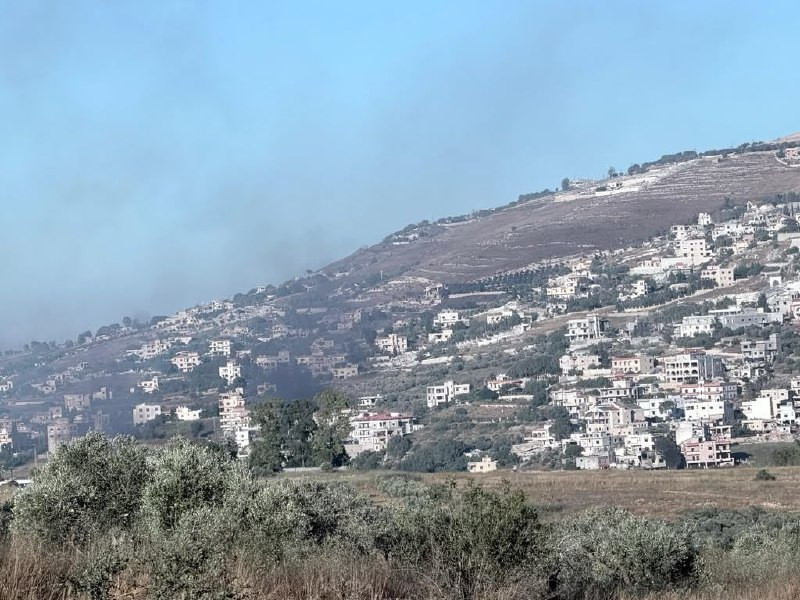 صورة الخبر