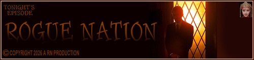 DVincent Banner.jpg