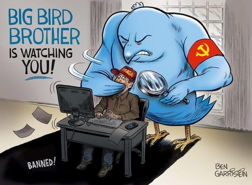 BIG BIRD BROTHER IS WATCHING YOU!.jpg