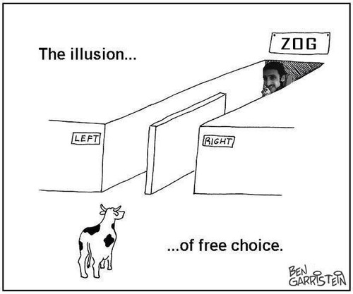 The Illusion of Free Choice.jpg