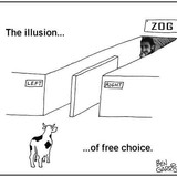 The Illusion of Free Choice
