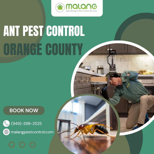 ant pest control Orange County.jpg