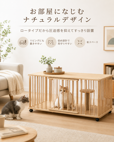 ChatGPT Image 2026年7月3日 17 04 18 (3).png