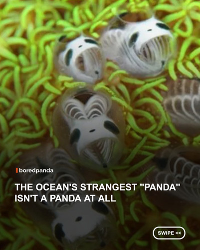 swipe to read.jpg