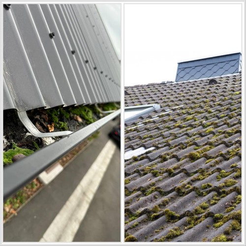 gutter cleaning christchurch.jpg
