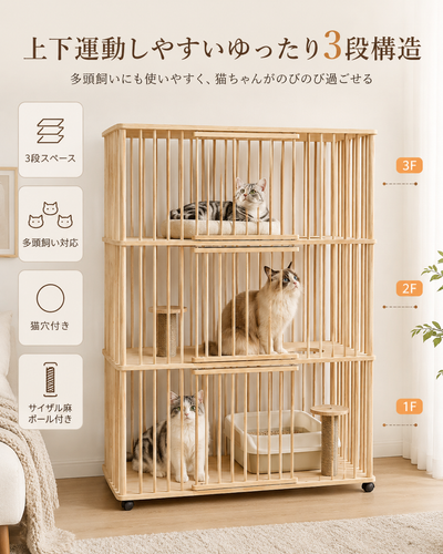 ChatGPT Image 2026年7月3日 17 42 36 (4).png
