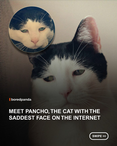 swipe to read.jpg
