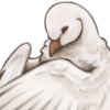 IMG 1185.png