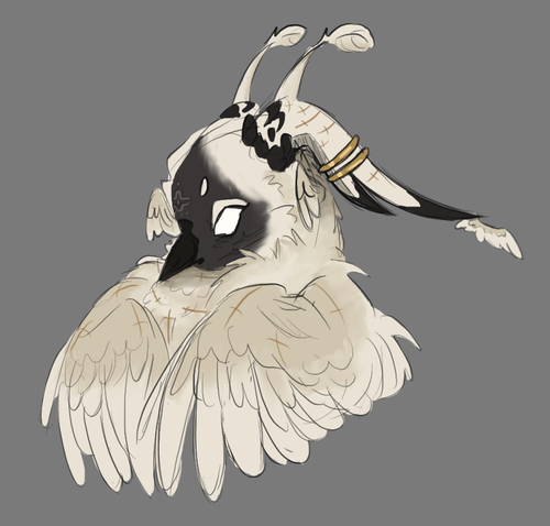 IMG 1197.png