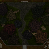 Roll20 Aviary Map
