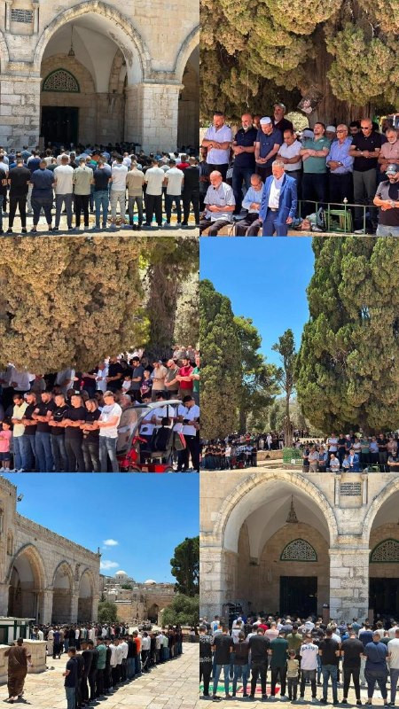 صورة الخبر