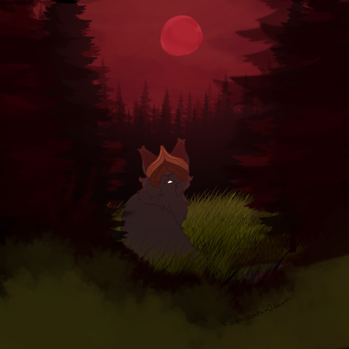 Untitled84 20260702003801.png