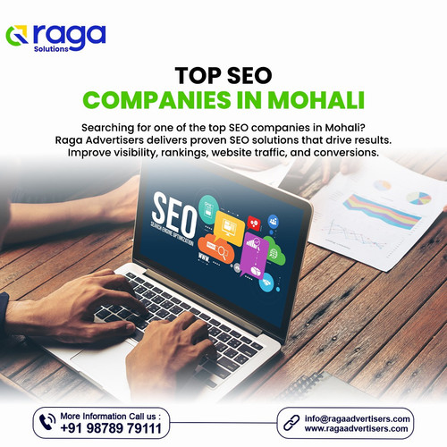 Top SEO Companies in Mohali.jpg