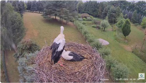 MWSnap181.jpg