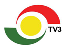 tv 3 gh.png