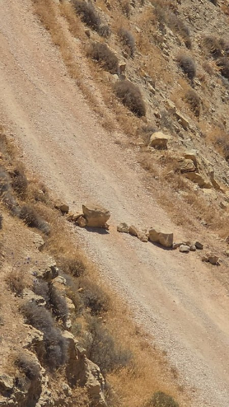 صورة الخبر