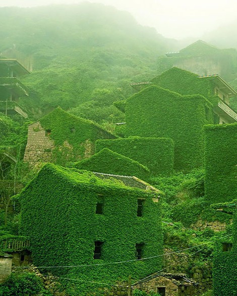 abandoned village zhoushan china 100.jpg