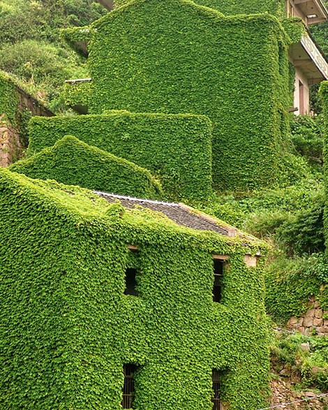 abandoned village zhoushan china 105.jpg