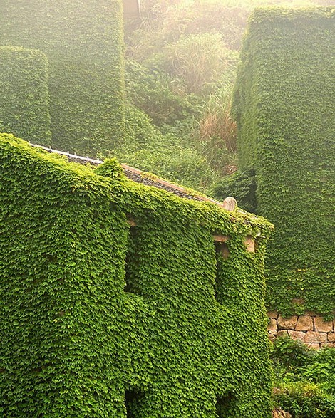 abandoned village zhoushan china 102.jpg