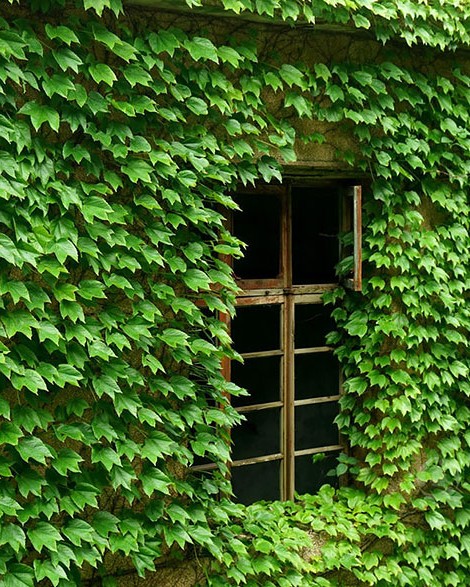 abandoned village zhoushan china 108.jpg