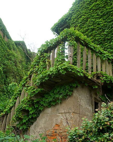 abandoned village zhoushan china 107.jpg