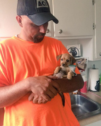 dads who didnt want dogs 52 588081b00ff91 605.jpg